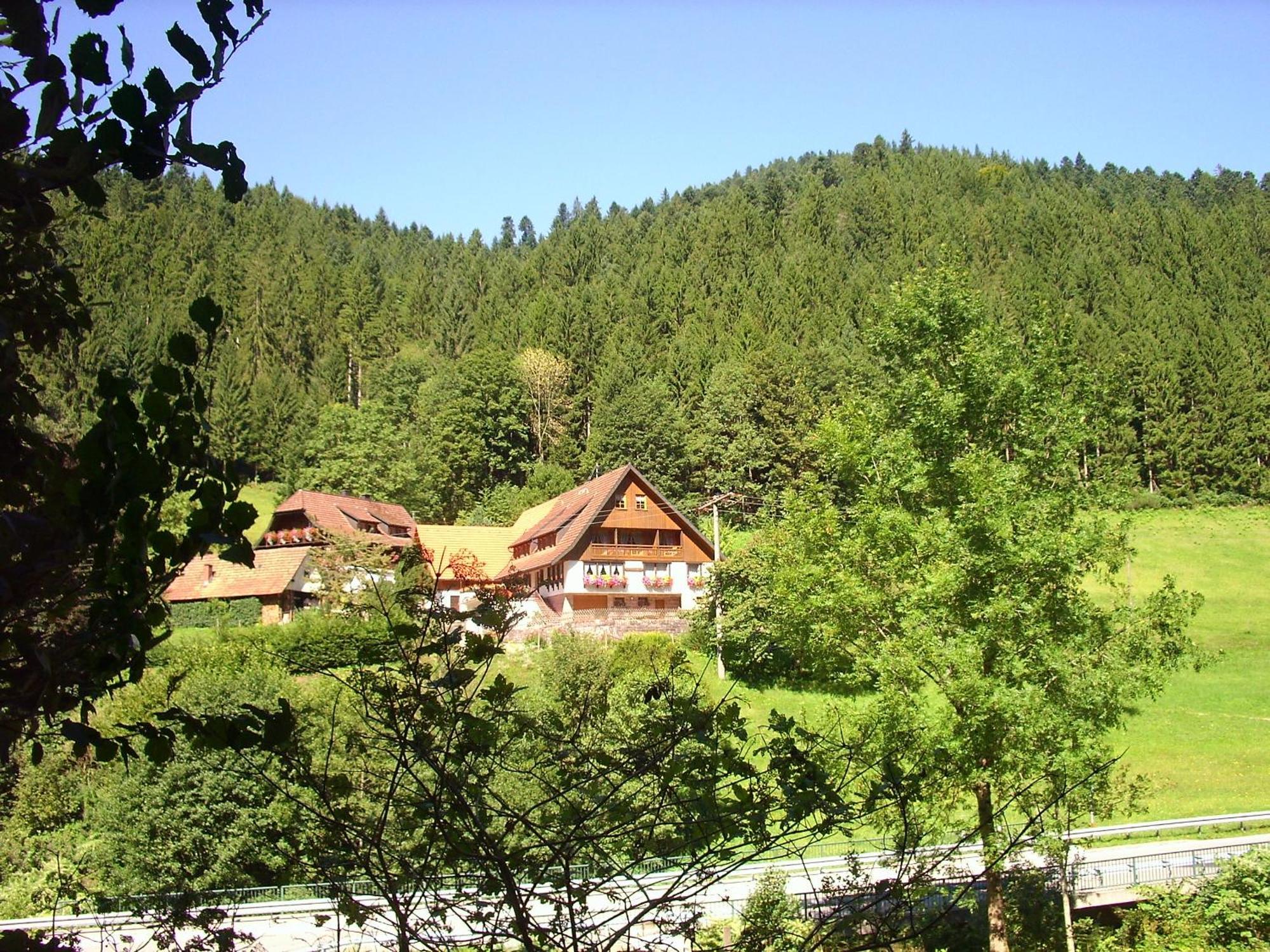Ferienwohnungen Vogt's Libding Bad Rippoldsau-Schapbach Exterior foto